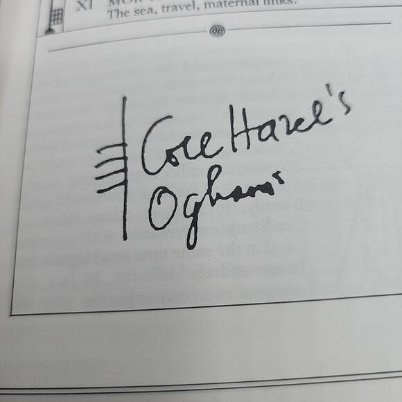 The Celtic Tree Oracle System of Divination First US Edition Hardcover - Picture 13 of 16